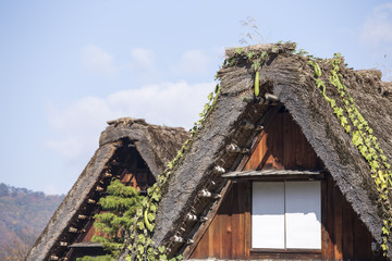 Cottage and rice field in small village shirakawa-go japan. autu