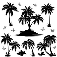 Tropical Island, Palms And Butterflies Silhouettes