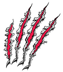 claw scratch