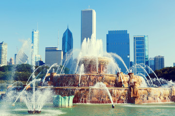 Wall Mural - fountain in chicago downtown