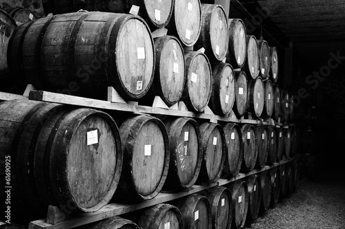 Wine barrels Canvas Print