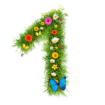 Spring number 1