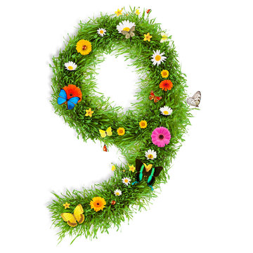 Spring number 9