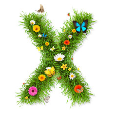 Wall Mural - Spring letter 