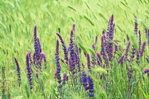 Naklejka - mata magnetyczna na lodówkę Violet meadow flower