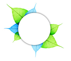 Wall Mural - Macro green and blue leaf abstract eco background