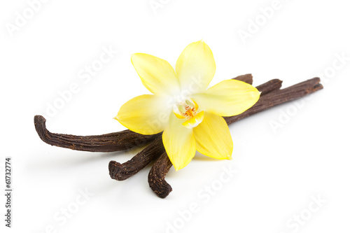 Fototapeta do kuchni Vanilla pods and orchid flower isolated on white background