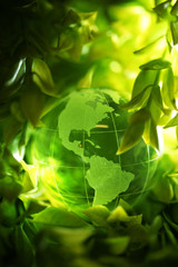 Wall Mural - glass globe in leaves