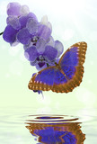 160_f_61734545_1bmajlasoo14snkewlzsyfj79xslcywt