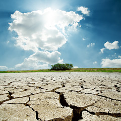 Wall Mural - drought earth and sun in cloudy sky