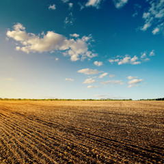 Wall Mural - black field after harvesting and blue cloudy sky