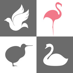 Poster - Bird. Icon Set