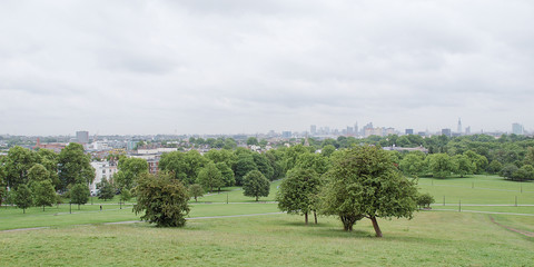 Poster - Primrose Hill London