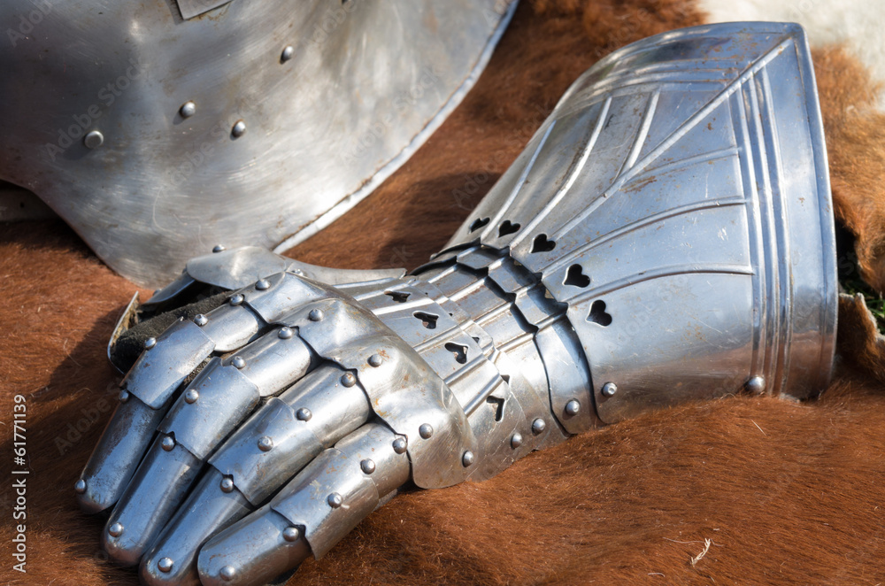 Un Gant De Fer Dans Une Main De Velours Buy This Stock Photo And Explore Similar Images At Adobe Stock Adobe Stock