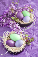  Colored easter eggs in nests