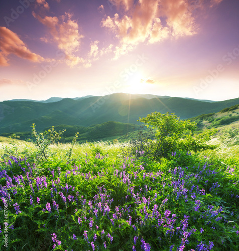 Nowoczesny obraz na płótnie Mountains meadow