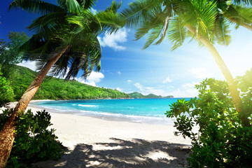 Wall Mural - beach, mahe island, seychelles