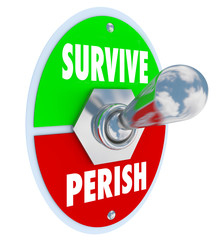 Survive Vs Perish Toggle Switch Choose to Win Endure Attitude