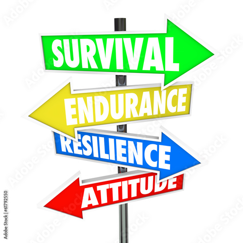 Fotomural Survival Endurance Resilience Attitude road signs arrows directi
