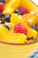 Sticker - muesli with berries