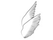 Love Wings Tribal Tattoo Flügel Fliegend