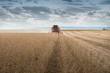 Poster - soybean harvest