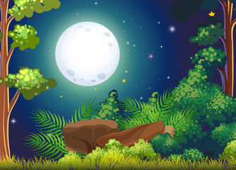 Poster - A green forest and a bright fullmoon