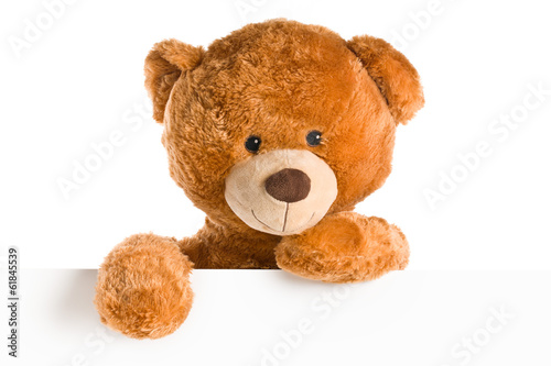 Fotografía Oso de peluche detrás de pizarra