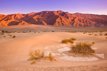 Wall Mural - Mesquite dunes, Death Valley California