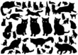 © orfeev - Cat silhouettes