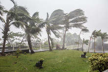 Cyclone "Bejisa" Raging, La Réunion