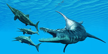 Liopleurodon Attacks Ichthyosaurus