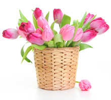 Tulips In Basket