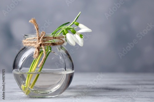 Zdjęcie XXL Piękny bukiet śnieżyczki w wazie na lekkim tle