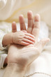 mothers hand holds palm of the baby