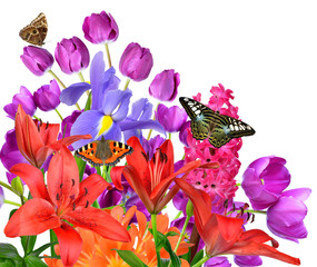 Wall Mural - Spring flowers with butterflies