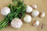 Fototapeta Miasto - Ripe garlic and parsley on a wooden cutting board closeup