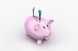 © rendeeplumia - 3d people on the top of piggy bank