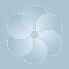 Poster - circles vector design graphic elements
