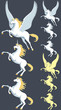 Pegasus Unicorn Stallion