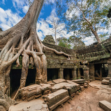 Ancient Architecture. Ta Prohm Temple, Angkor Wat, Cambodia