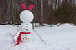 canvas print picture - Snowman headstand