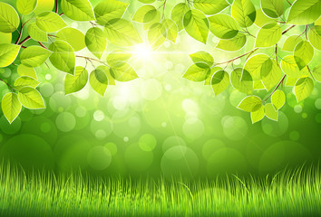 Natural background. Vector