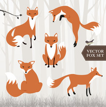 Illustrated Fox Vector File