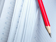 © fffoma - pencil and diary