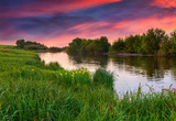 Fototapeta Krajobraz - dramatic sunset over flowering meadow by river