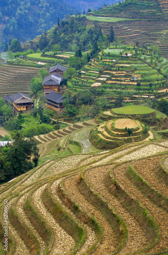 Naklejka na szybę Rice Terraces in China