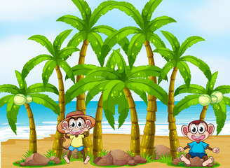 Wall Mural - A beach with coconut trees and playful monkeys