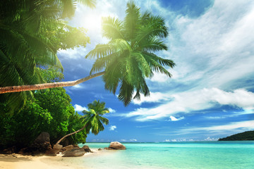 Wall Mural - beach on mahe island, seychelles
