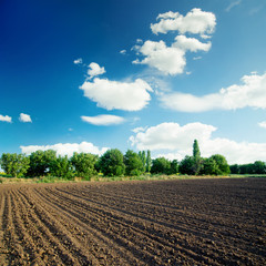 Wall Mural - black agriculture field and blue sky with clouds